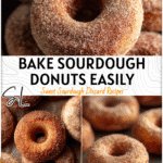 Golden sourdough cinnamon sugar donuts coated in homemade cinnamon sugar on a donut tray.